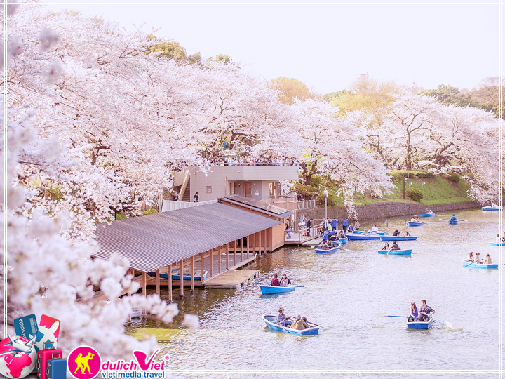 Du lịch Nhật Bản giá tốt 2017 mùa hoa Anh Đào khởi hành từ Tp.HCM